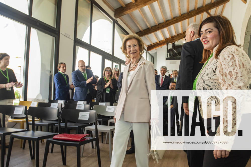 3rd Manolo Barrós International Congress on Amyotrophic Lateral Sclerosis (ALS) in La Roda, Albacete. Queen Sofía during the 3rd Manolo Barrós International Congress on Amyotrophic Lateral Sclerosis (ALS) at the Posada del Sol on June 22, 2026, in La Roda, Albacete, Castilla-La Mancha, Spain. The event, organized by the Queen Sofia Foundation in collaboration with the CIEN Foundation (Center for Research on Neurological Diseases), brings together leading international researchers, healthcare professionals, and patient groups to exchange knowledge, raise awareness of the disease, and advance the search for a cure. JUNE 22, 2026 Víctor Ferná La Roda, Albacete, Castilla-La Mancha, Spain,detected_source_language