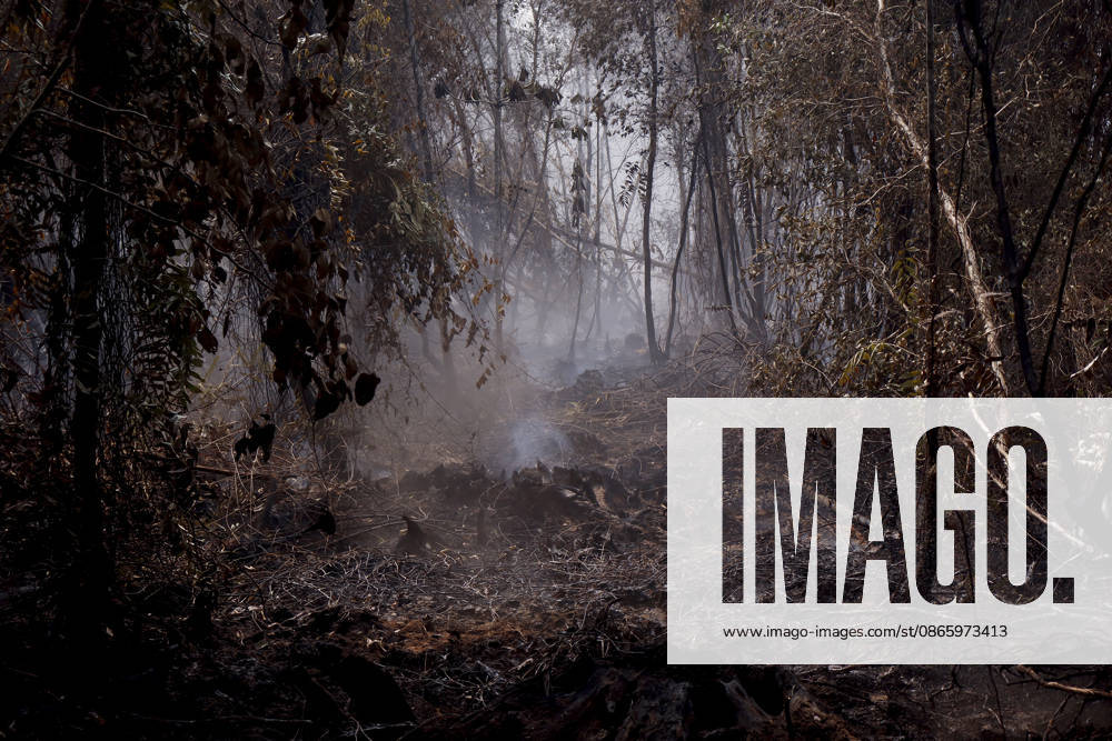 Forest and Peatland Fire in Ogan Ilir, South Sumatra Smoke rises from a forest and peatland fire at Kebun Raya Sriwijaya in North Inderalaya, Ogan Ilir, South Sumatra, Indonesia, on September 5, 2026. South Sumatra Indonesia