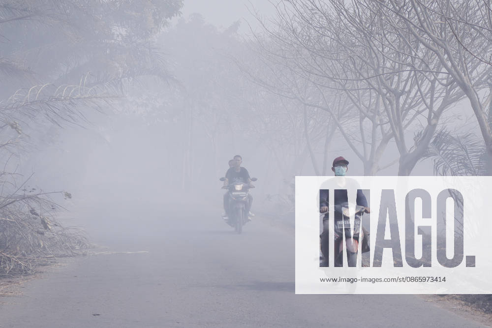 Forest and Peatland Fire in Ogan Ilir, South Sumatra Residents ride motorcycles through smoke from a forest and peatland fire in Kebun Raya Sriwijaya, North Inderalaya, Ogan Ilir, South Sumatra, Indonesia, on September 5, 2026. South Sumatra Indonesia