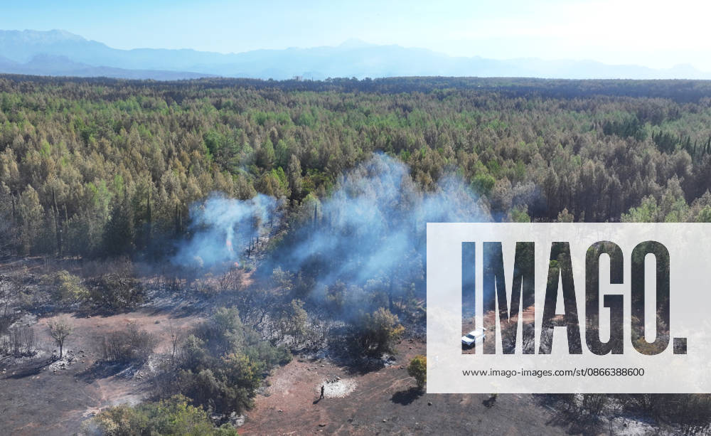 Firefighting efforts continue at the wildfire in Antalya ANTALYA, TURKIYE - SEPTEMBER 9: A view of forest area after wildfire in the Aksu district of Antalya, Turkiye on September 9, 2026. The wildfire spread across a vast area as efforts to bring the blaze under control continue. Orhan Cicek Anadolu Antalya Turkey. Editorial use only. Please get in touch for any other usage.