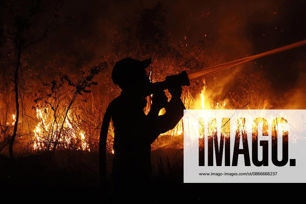 Forest And Peatland Fire In Ogan Ilir, South Sumatra A firefighter from the Ogan Ilir Regional Disaster Management Agency (BPBD) works to extinguish a forest and land fire along the Palembang-Inderalaya highway in Sungai Rambutan, Ogan Ilir Regency, South Sumatra, on September 11, 2026. Ogan Ilir, South Sumatra Indonesia