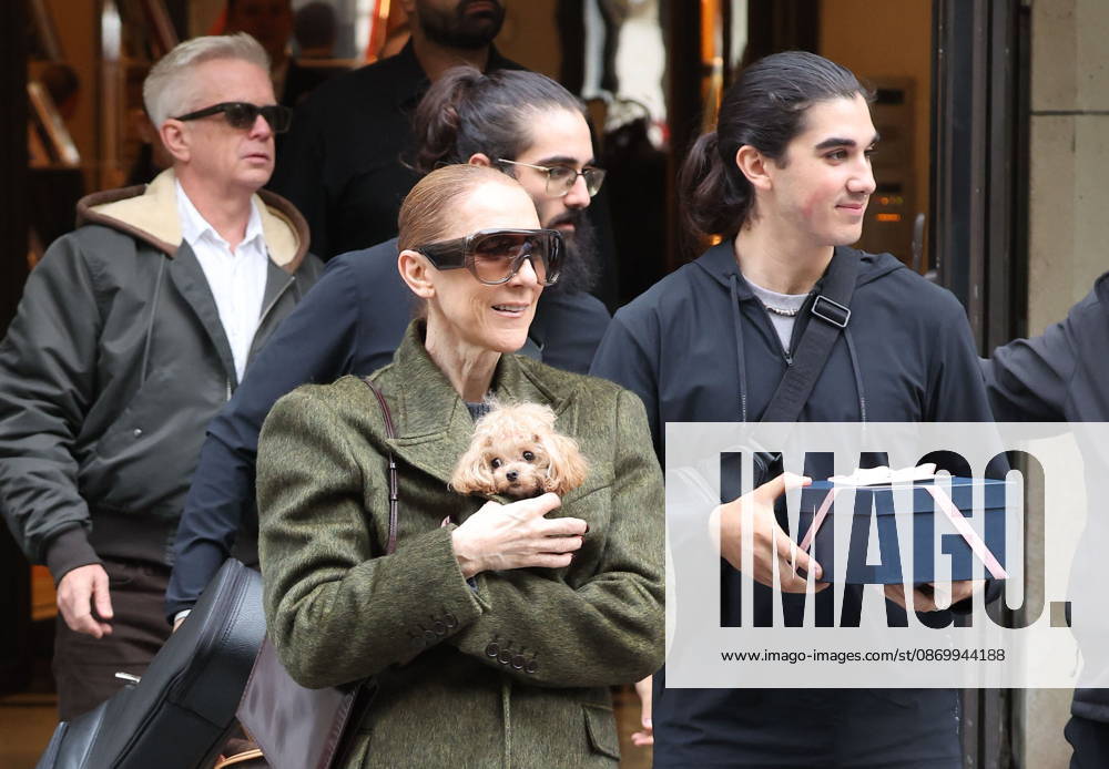 Céline Dion leaves the Royal Monceau hotel with her sons Nelson and Eddy and her dog the day after her final concert in Paris on October 19, 2026. Cyril Moreau, Bestimage. Céline Dion leaves the Royal Monceau hotel with her sons Nelson and Eddy and her dog, the day after her final concert in Paris on October 19, 2026, Paris, France