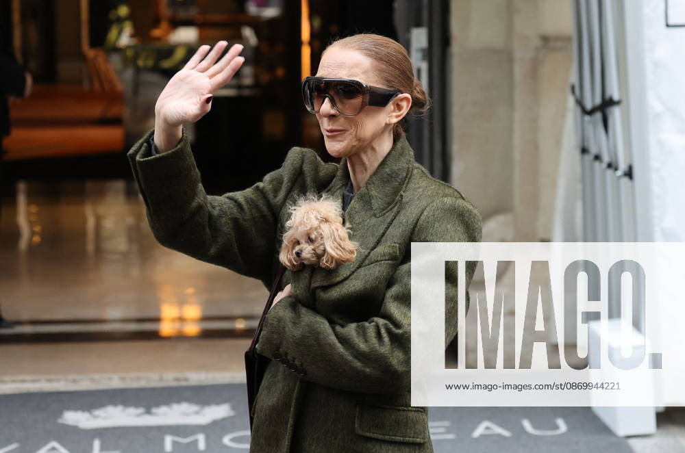 Céline Dion leaves the Royal Monceau hotel with her sons Nelson and Eddy and her dog the day after her final concert in Paris on October 19, 2026. Cyril Moreau, Bestimage. Céline Dion leaves the Royal Monceau hotel with her sons Nelson and Eddy and her dog, the day after her final concert in Paris on October 19, 2026, Paris, France