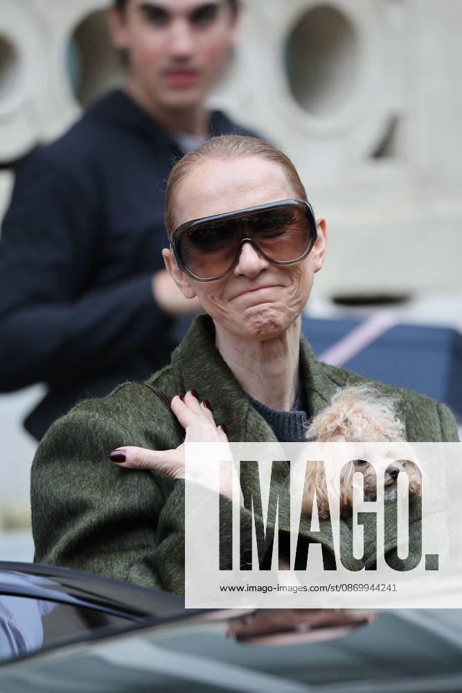 Céline Dion leaves the Royal Monceau hotel with her sons Nelson and Eddy and her dog the day after her final concert in Paris on October 19, 2026. Cyril Moreau, Bestimage. Céline Dion leaves the Royal Monceau hotel with her sons Nelson and Eddy and her dog, the day after her final concert in Paris on October 19, 2026, Paris, France