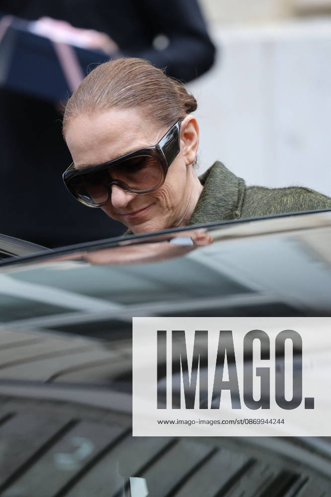 Céline Dion leaves the Royal Monceau hotel with her sons Nelson and Eddy and her dog the day after her final concert in Paris on October 19, 2026. Cyril Moreau, Bestimage. Céline Dion leaves the Royal Monceau hotel with her sons Nelson and Eddy and her dog, the day after her final concert in Paris on October 19, 2026, Paris, France