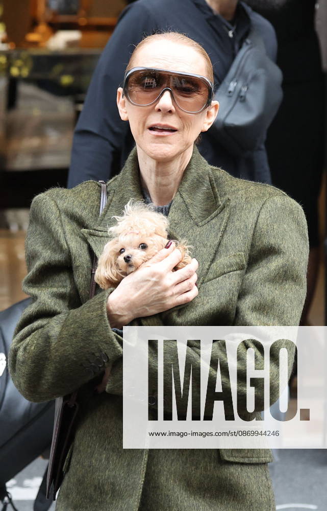 Céline Dion leaves the Royal Monceau hotel with her sons Nelson and Eddy and her dog the day after her final concert in Paris on October 19, 2026. Cyril Moreau, Bestimage. Céline Dion leaves the Royal Monceau hotel with her sons Nelson and Eddy and her dog, the day after her final concert in Paris on October 19, 2026, Paris, France