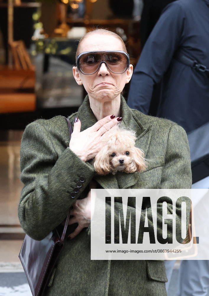 Céline Dion leaves the Royal Monceau hotel with her sons Nelson and Eddy and her dog the day after her final concert in Paris on October 19, 2026. Cyril Moreau, Bestimage. Céline Dion leaves the Royal Monceau hotel with her sons Nelson and Eddy and her dog, the day after her final concert in Paris on October 19, 2026, Paris, France