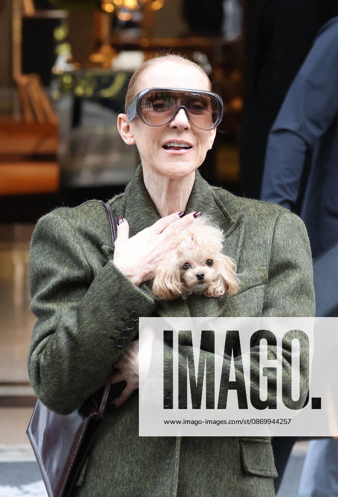 Céline Dion leaves the Royal Monceau hotel with her sons Nelson and Eddy and her dog the day after her final concert in Paris on October 19, 2026. Cyril Moreau, Bestimage. Céline Dion leaves the Royal Monceau hotel with her sons Nelson and Eddy and her dog, the day after her final concert in Paris on October 19, 2026, Paris, France
