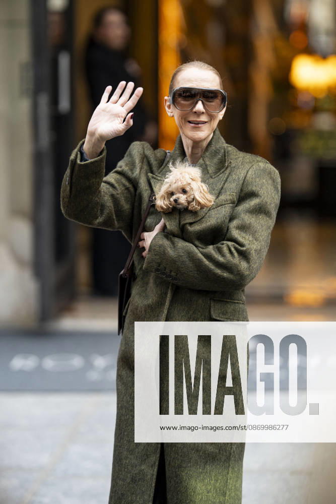 Céline Dion, accompanied by her sons Eddy and Nelson Angelil, leaves the Royal Monceau hotel for La Plenitude Arena in Paris after 16 concerts over five weeks in front of nearly 500,000 people, on October 19, 2026. Holding her dog, Madison, in her arms, the Canadian singer waved one last time to her fans gathered in front of the hotel. She will return to the Paris La Défense Arena for 10 special concerts from May 8 to 29, 2027. Pierre Perusseau Bestimage Céline Dion, accompanied by her sons Eddy and Nelson Angelil, leaves the Royal Monceau luxury hotel in Paris on October 19, 2026, following 16 concerts over five weeks performed before nearly 500,000 people. Holding her dog, Madison, in her arms, the Canadian singer waved one last time to