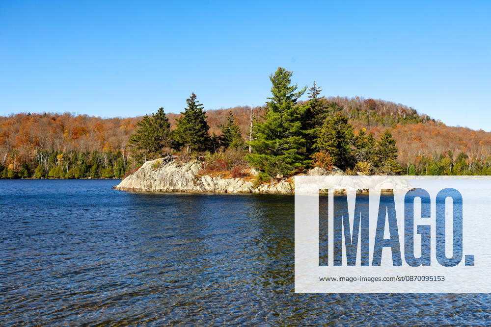 Autumnal landscape at Stukely Lake (Lac Stukely) in Mont Orford National Park (Parc national du Mont Orford). On sunny days, some deciduous trees are still displaying vibrant fall colors, while many others have already lost their leaves following the first night frosts. Orford, Quebec, CAN, Canada