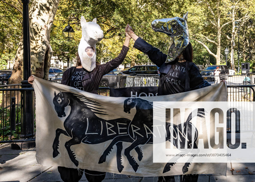 Electeds and animal rights groups gathered at City Hall Park for a press conference and rally to pass Romanch s law banning the use of horses in NYC. New York USA - ZUMAh214 20261022_znp_h214_011