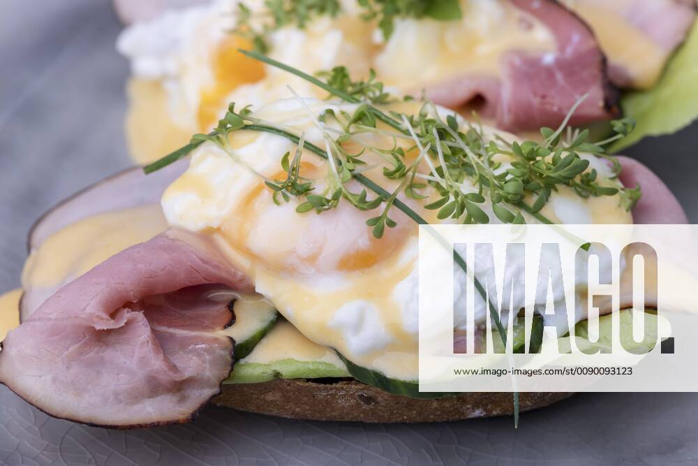Close-up of a boiled egg with coffee eggs benedict 1035304885