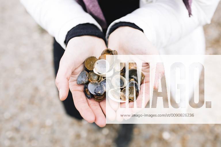 Woman s hands holding collected shells, close-up model released Symbolfoto KMKF00755