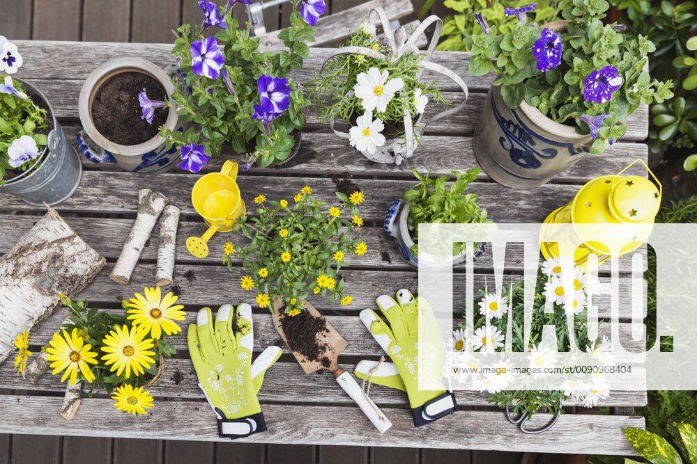 Different summer flowers and gardening tools on garden table property released GWF05775