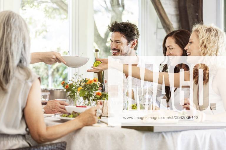 Hapüpy family celebrating together, clinking glasses model released Symbolfoto property released PESF01594
