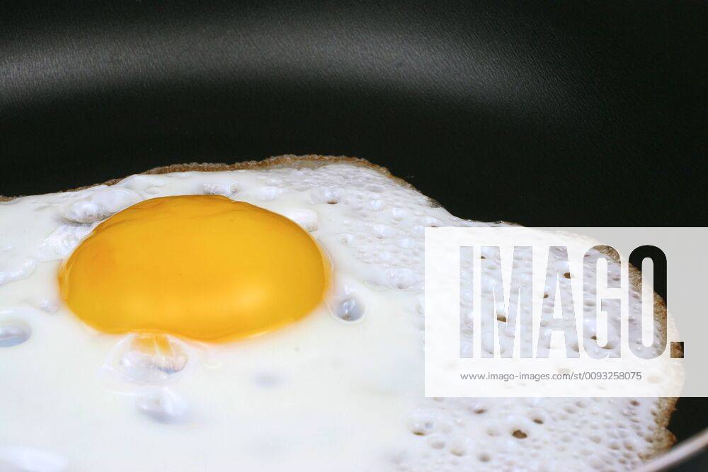 Fried egg in a frying pan, McPBBO McPBBO