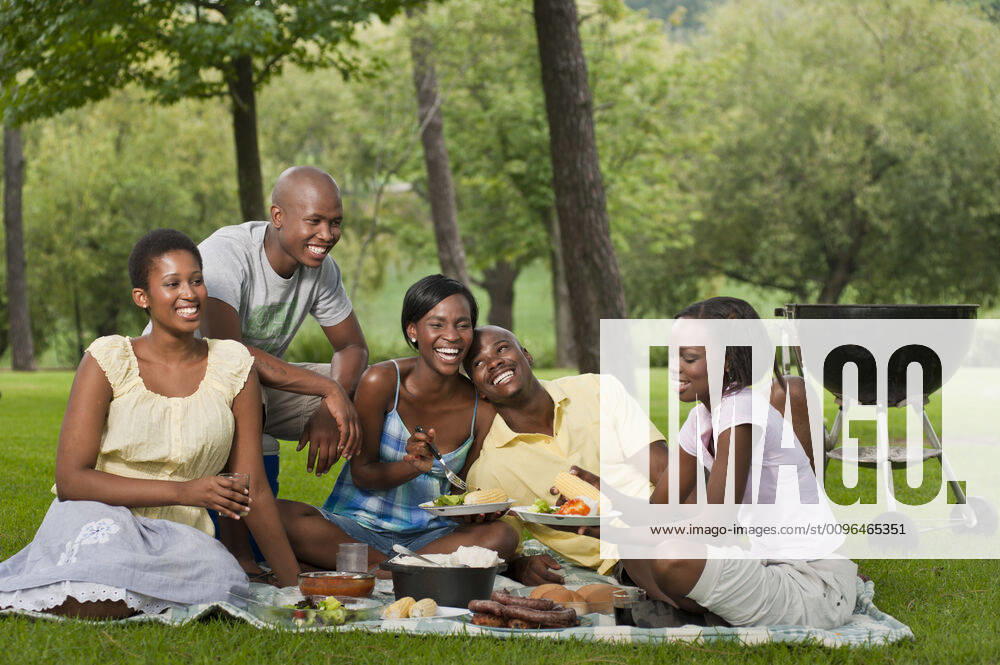 A group of Young African friends picnic together in a park