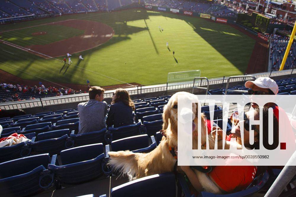 Dog owners walk their dogs on the field as part of Bark in the Park before  a baseball game between the Cincinnati Reds and the Philadelphia Phillies  in Cincinnation Tuesday, Aug. 16