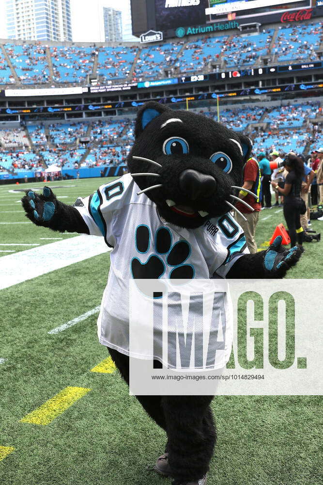 Throwback to When Carolina Panthers Mascot Sir Purr Registered a