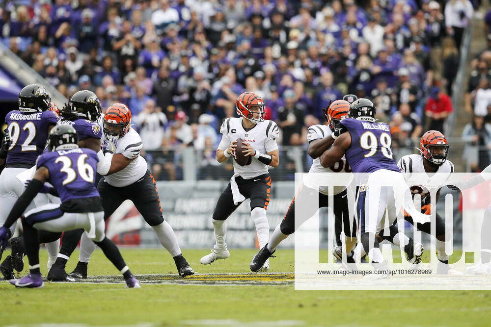 NFL, American Football Herren, USA Baltimore Ravens at Cincinnati