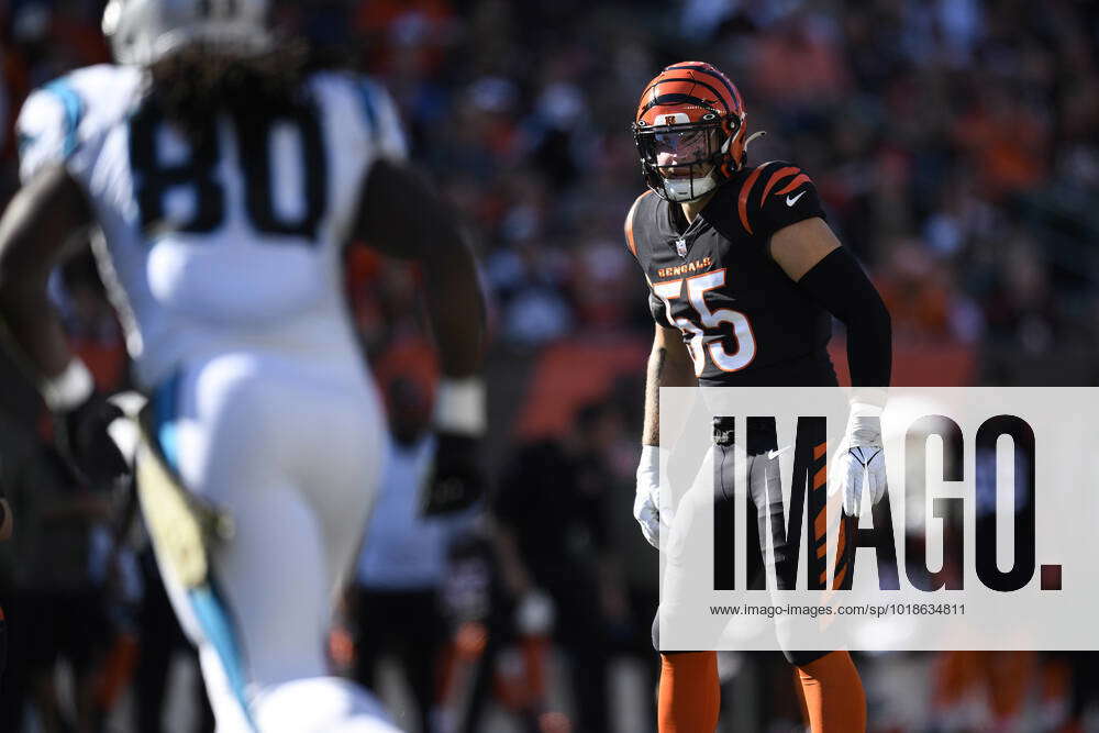 CINCINNATI, OH - NOVEMBER 06: Cincinnati Bengals Linebacker