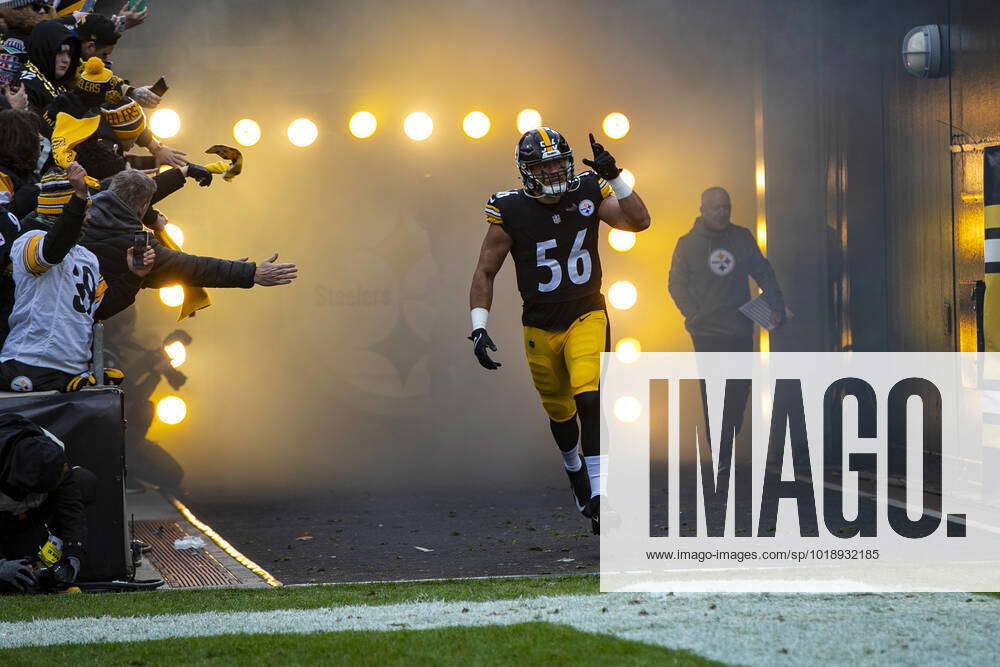 PITTSBURGH, PA - NOVEMBER 13: Pittsburgh Steelers linebacker Alex Highsmith  (56) is announced