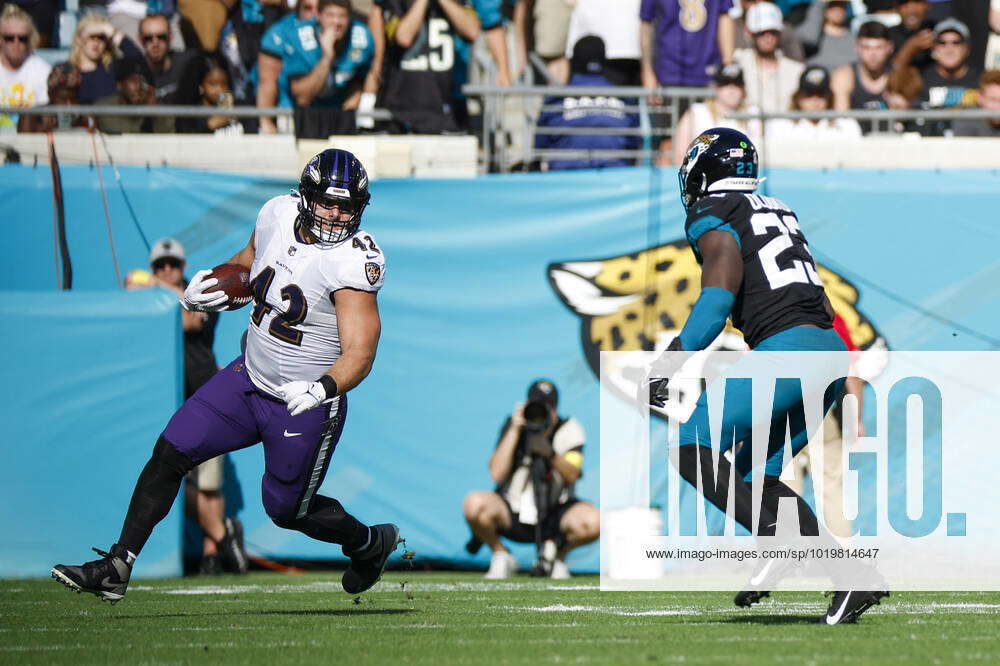 JACKSONVILLE, FL - NOVEMBER 27: Baltimore Ravens fullback Patrick Ricard (42)  lines up for a play du