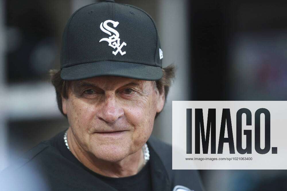 Chicago White Sox manager Tony La Russa looks out of the dugout