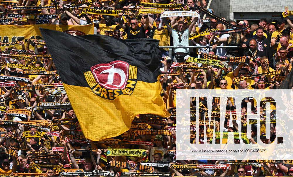 Dynamo Dresden – Ultras Schal