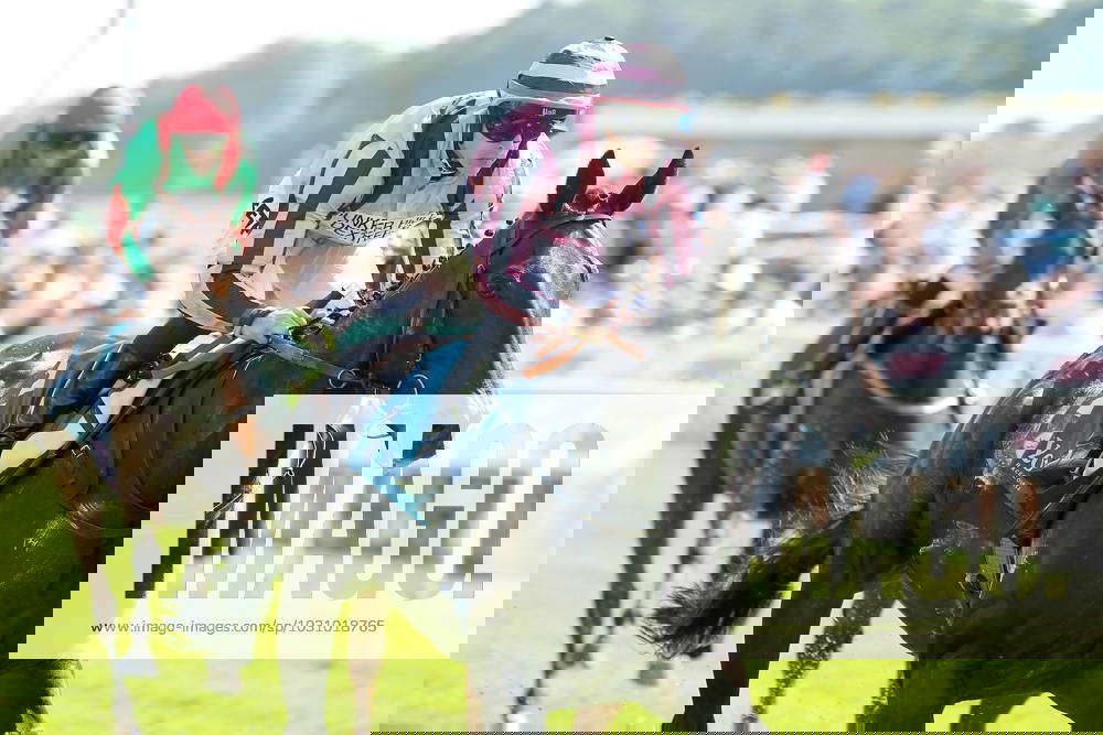 Horse racing York Races CHICHESTER (2) ridden by Richard Kingscote and