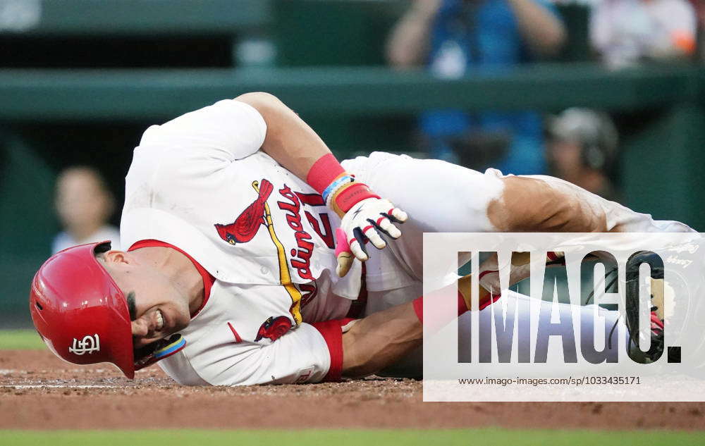 MLB's Lars Nootbaar Crumples In Pain After Fouling Ball Into Groin