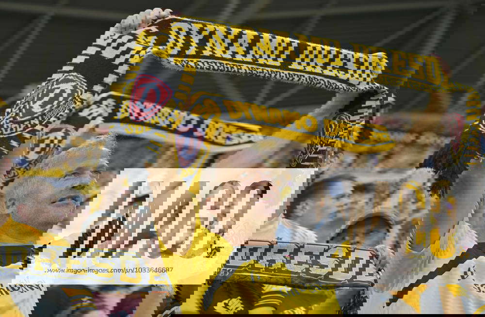 dynamo dresden schal