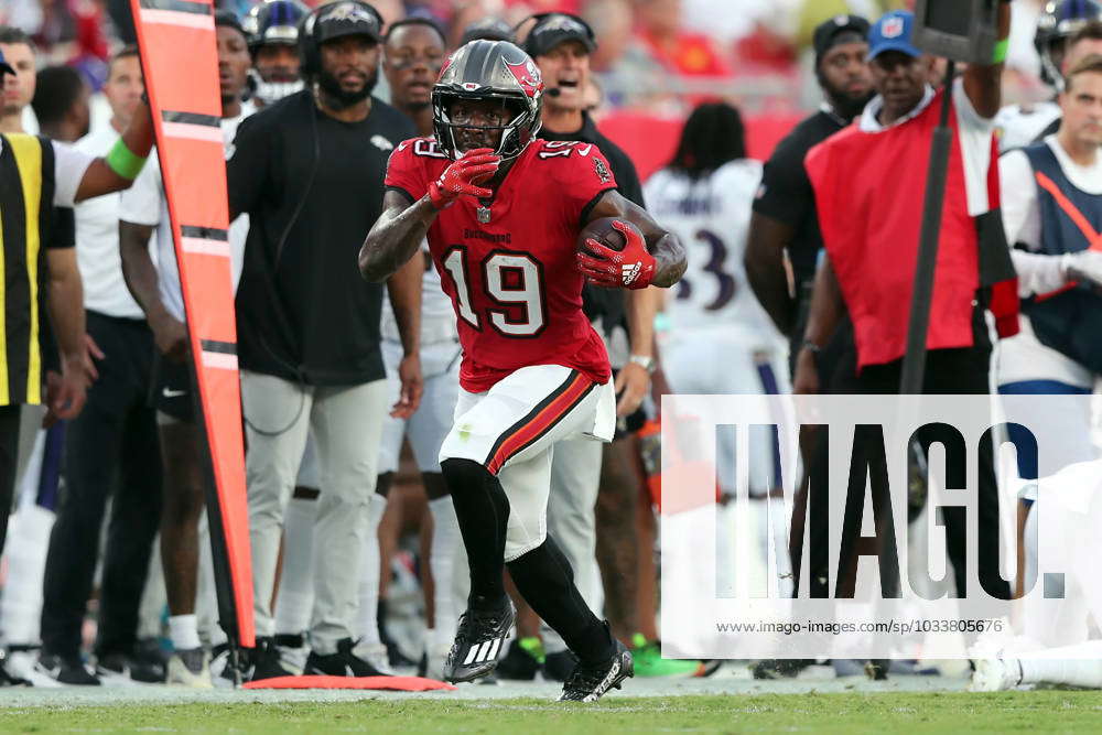 Tampa Bay Buccaneers wide receiver David Moore (19) before a