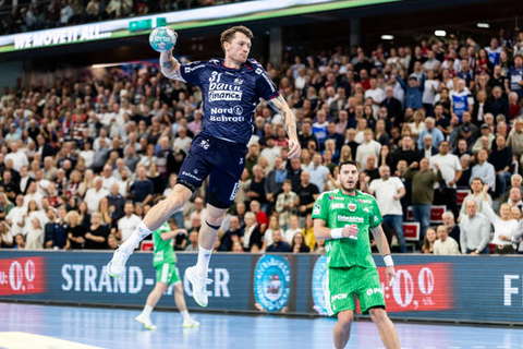 Handball, HBL, SG Flensburg-Handewitt - Füchse Berlin