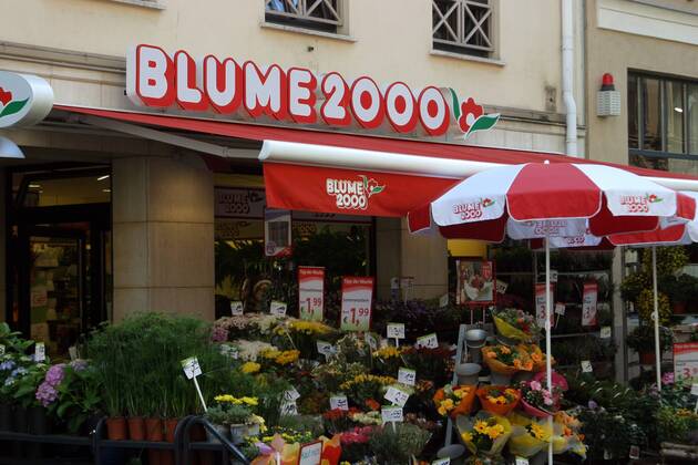 Blume 2000 Filiale Fotos IMAGO