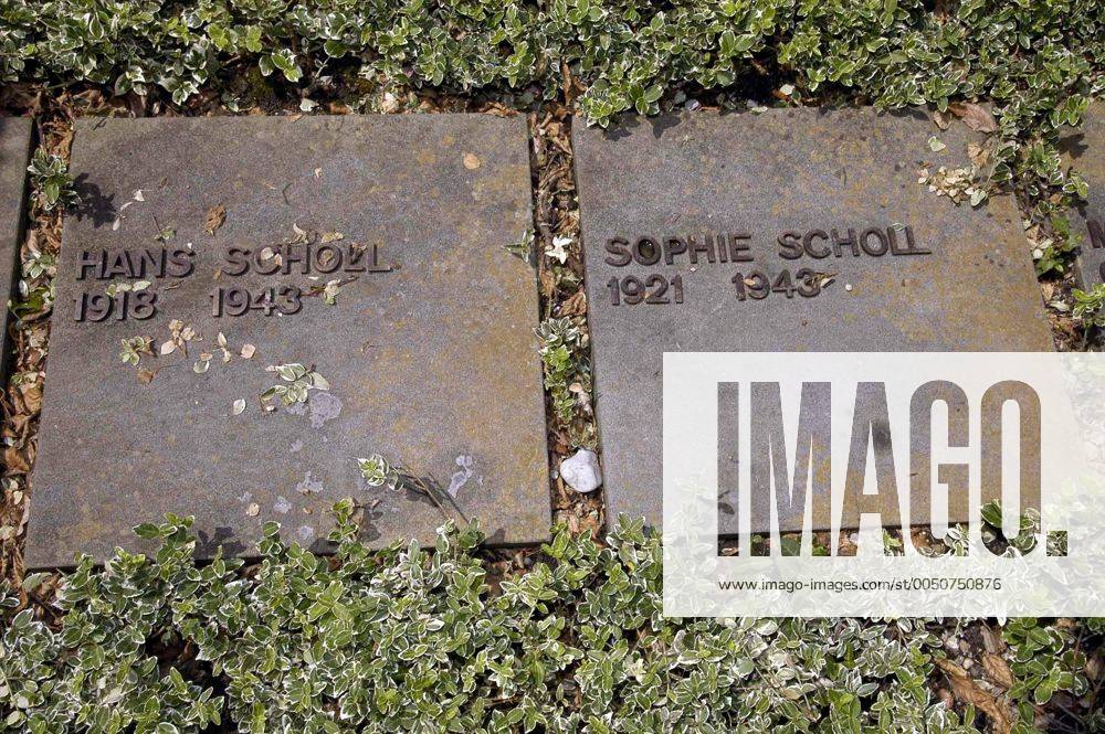 Gräber von Hans und Sophie Scholl auf dem Friedhof Perlacher Forst Gräber von Hans und Sophie Scholl auf dem Friedhof Perlacher Forst