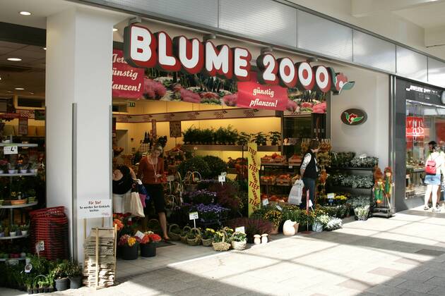 Blume 2000 Filiale Fotos IMAGO