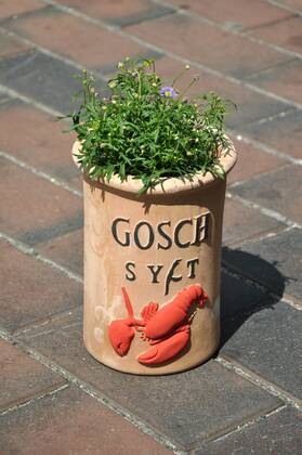 Blumentopf von Gosch, Blumentopf, Blumen, Gosch, Sylt, Hummer