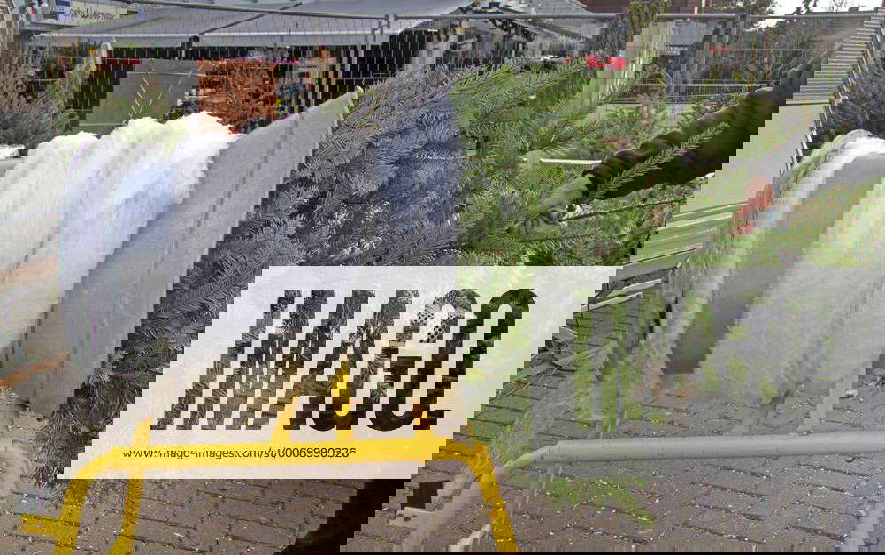 Weihnachtsbaumtrichter, Deutschland christmas tree netting machine