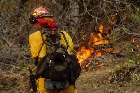 Boot Jack, California, USA - Boot Jack, California, U.S. - Firefighters ...