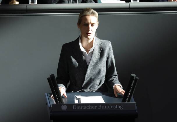 Alice Elisabeth Weidel, Vorsitzende der AfD-Fraktion im Bundestag, AfD-Vorsitzende Alexander