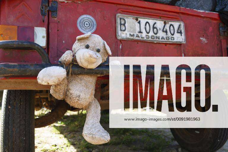 Stofftier hängt an Stoßstange an rostigem Auto, Provinz Rocha, Uruguay,  Südamerika