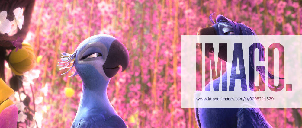 Roberto Rio 2 RIO 2 | Big Screen NZ
