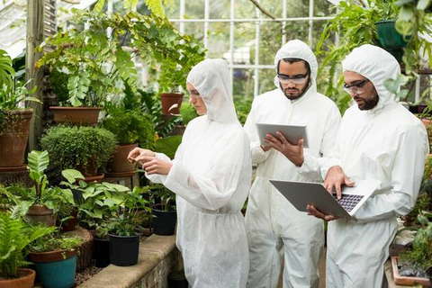 Business & Technologie