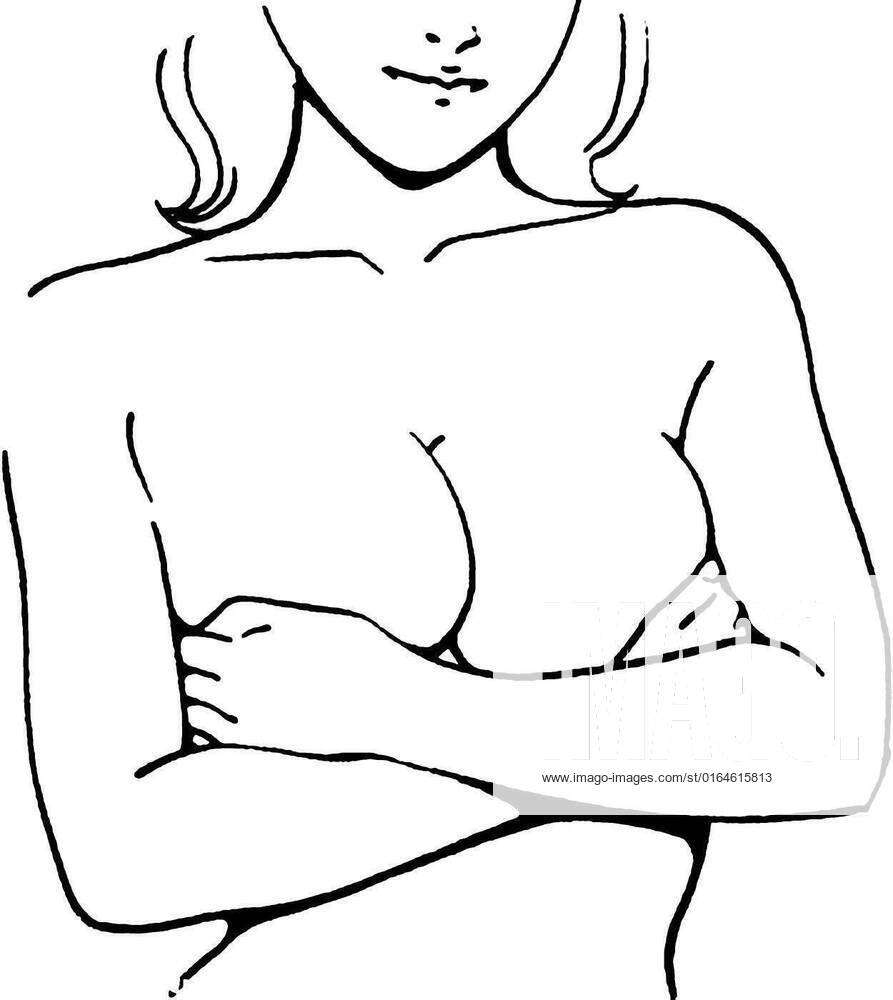 Female breast drawing tutorial. Drawing a woman s body with an emphasis on  breasts., Tutorial of