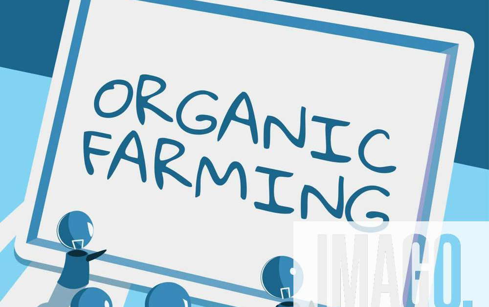 text-caption-presenting-organic-farming-word-for-agricultural-system