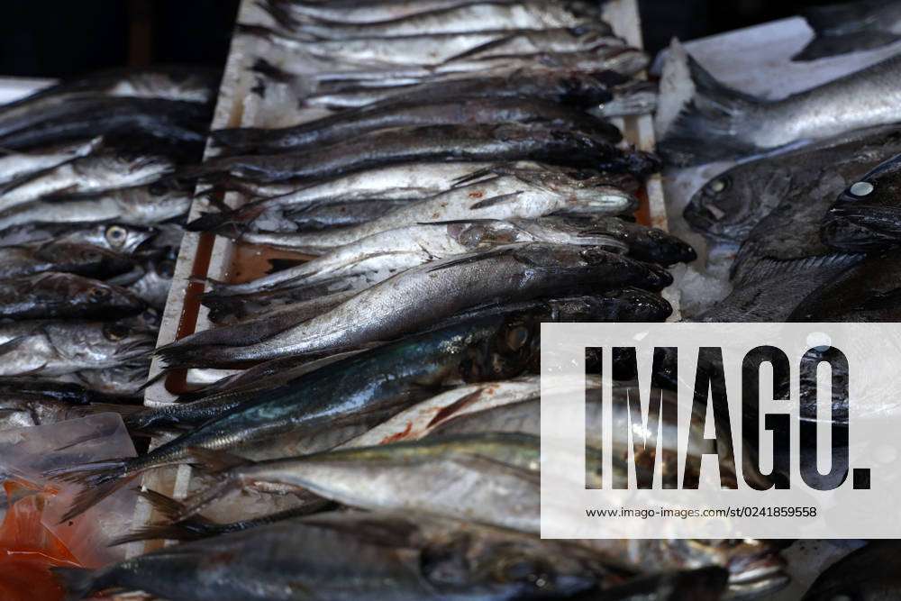 Valparaiso, 6 de abril de 2023. Venta de pescados y mariscos en la caleta  Portales de