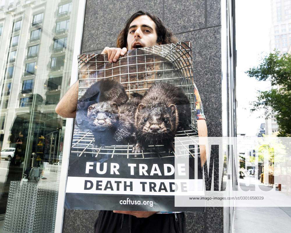 New York City, United States. 13th Aug, 2023. A man holding a sign