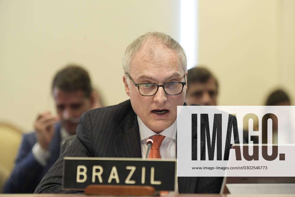 The permanent representative of Brazil to the Organization of American  States (OAS), Benoni Belli