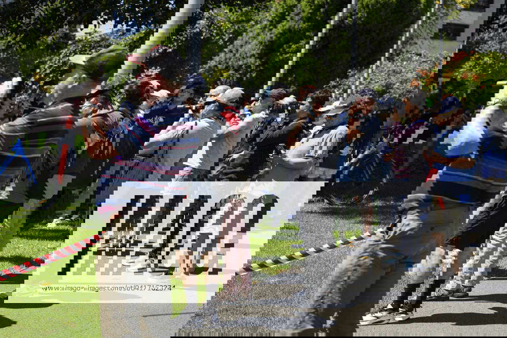 World Naked Bike Ride Melbourne